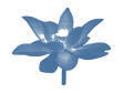 [Company Logo Image]